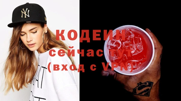 ГАЛЛЮЦИНОГЕННЫЕ ГРИБЫ Вяземский