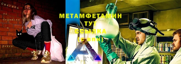 ГАЛЛЮЦИНОГЕННЫЕ ГРИБЫ Горно-Алтайск