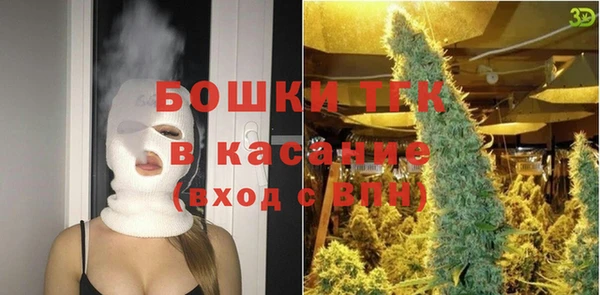хмурый Горняк