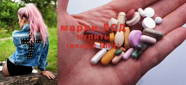 ГАЛЛЮЦИНОГЕННЫЕ ГРИБЫ Вяземский