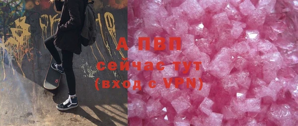 ГАЛЛЮЦИНОГЕННЫЕ ГРИБЫ Горно-Алтайск
