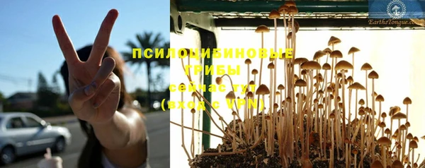 хмурый Горняк