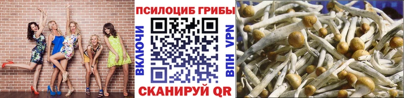 MEGA зеркало  купить   Нахабино  Галлюциногенные грибы Cubensis 